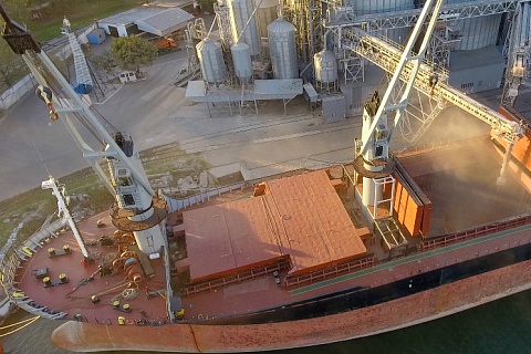 Минсельхоз США: Россия пятый сезон подряд будет крупнейшим экспортером пшеницы