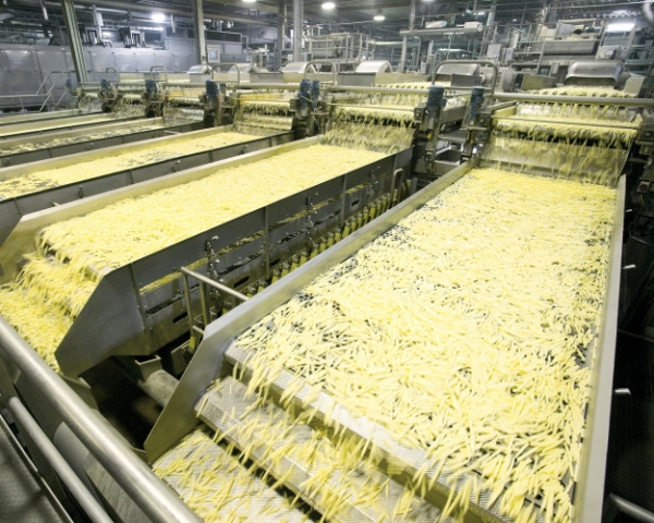 «Белая дача» вытеснит импорт. Компания строит завод по производству картофеля фри за €120 млн