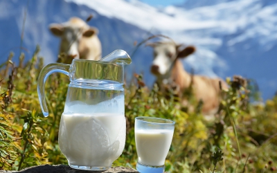 Производство молока растет лишь на 1% в год