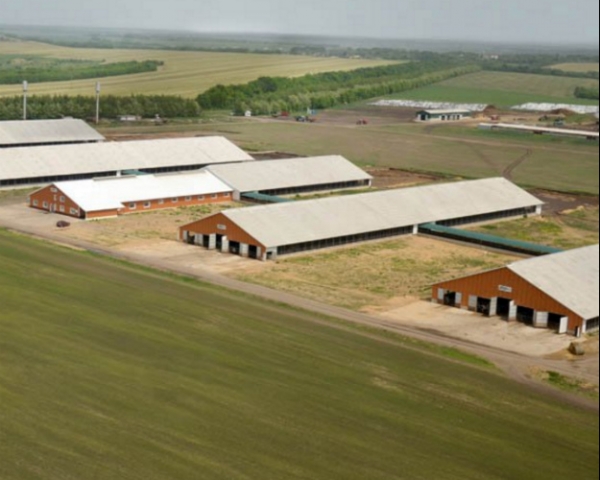 «ЭкоНиваАгро» открыла в Воронежской области восьмой животноводческий комплекс на 2,8 тыс. коров