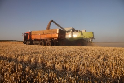 Россия отгрузила в Иран первые 100 тыс. тонн зерна