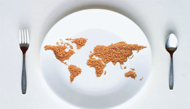 Продовольственный вызов миру