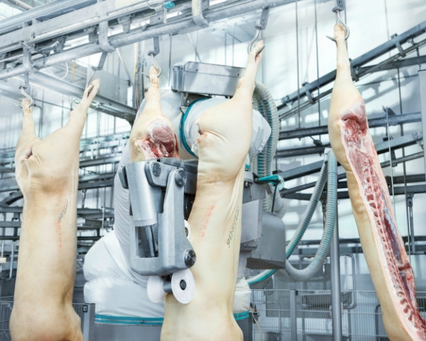 Переработка будущего. Роботизация в мясопереработке приведет к потере конкурентоспособности отрасли?