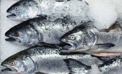 Россия запретила импорт рыбопродукции из Прибалтики