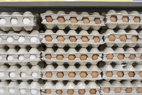Производство яиц в России снижается шестой месяц подряд