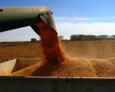 Зерновой баланс сезона