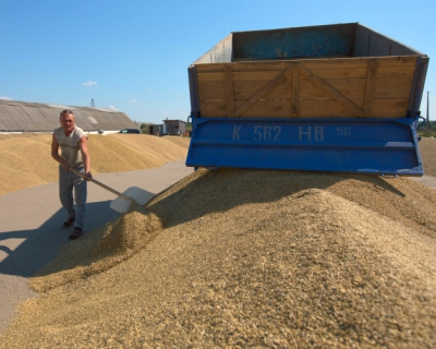 Экспорт зерна в Египет вырастет